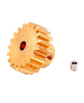 Pinion 19T