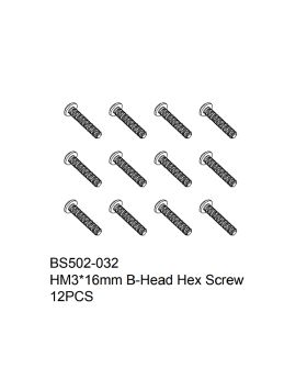 HM3x16mm B-Head Hex Screw 12PCS 