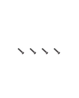 Flat Head Hex Screw HM2.5x8  4pcs
