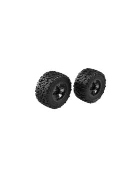 Assembled Wheel Set (2)
